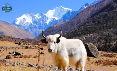 Langtang Valley Trek