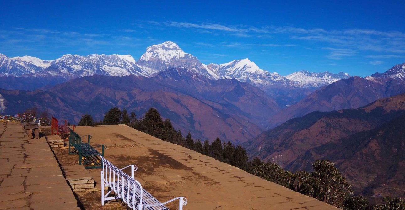 Ghorepani Poon Hill Trek: A Complete Guide for Beginners in 2026