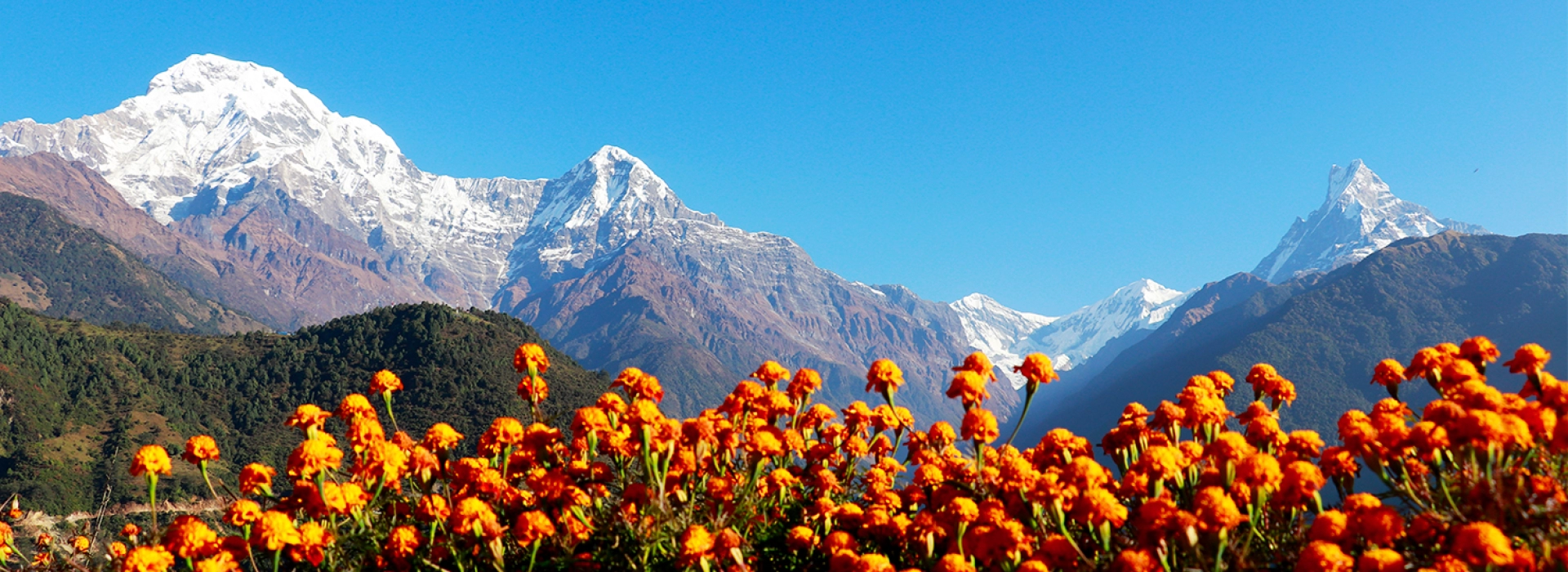 Khopra Ridge Trek