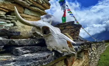 Solo trekker crossing Larkya La Pass Manaslu 2026