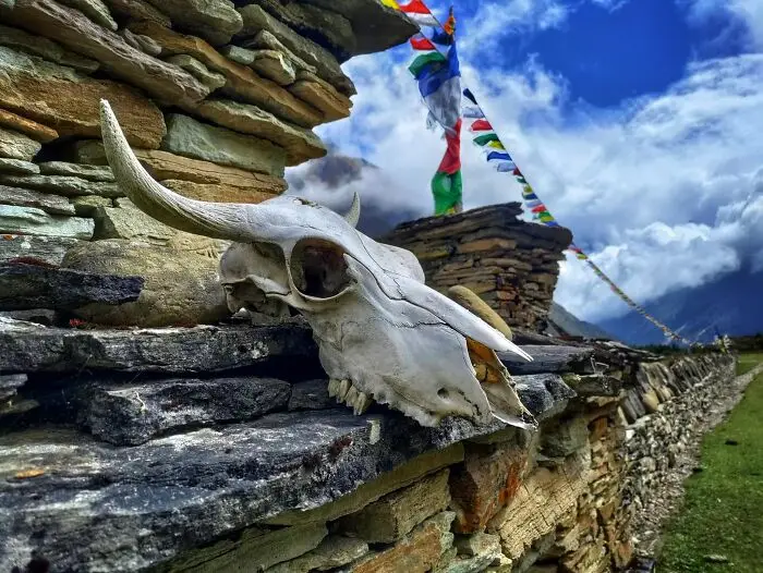 Solo trekker crossing Larkya La Pass Manaslu 2026