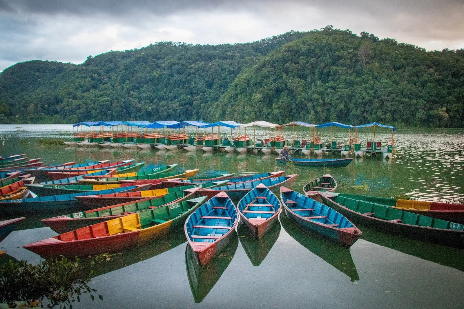 Traditional colorful wooden boats on Phewa Lake with a view of the Himalayan peaks in Nepal.