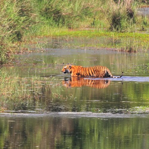 Bardia National Park