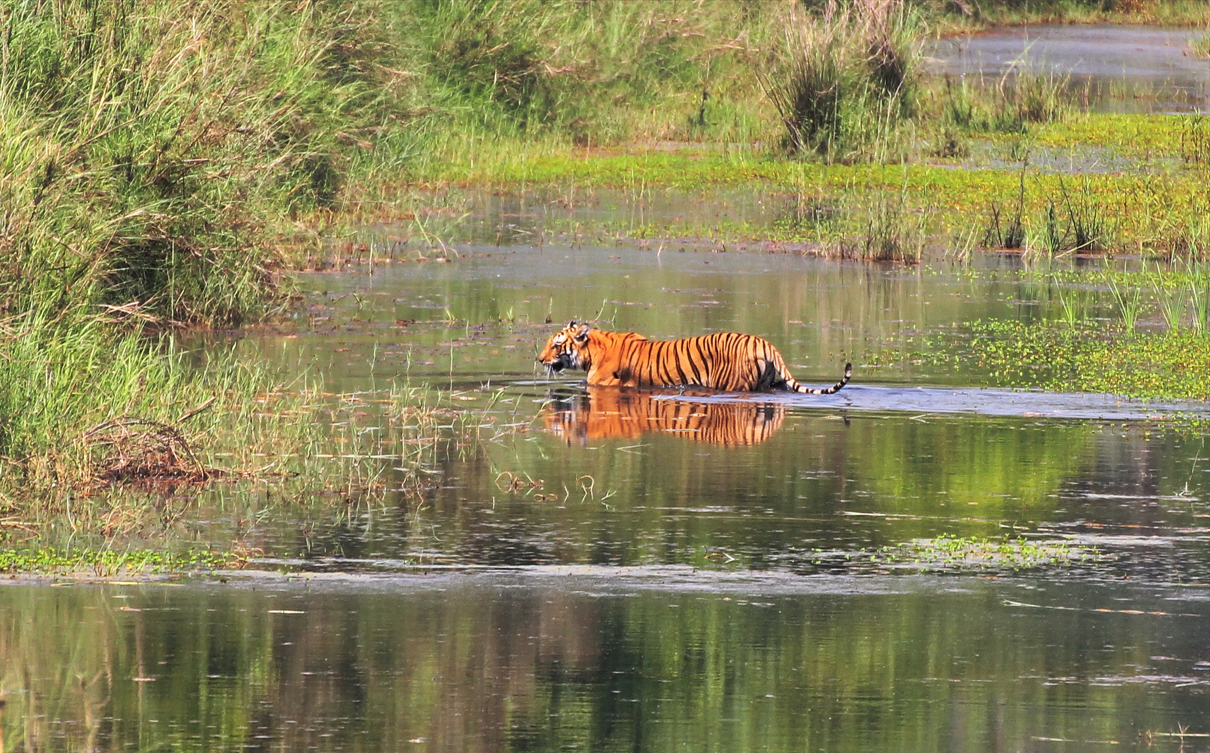 Bardia National Park